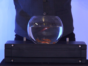 ULTIMATE BOWLING BALL FROM BRIEFCASE by Richard Griffin