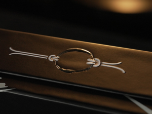 WGM RING ON ROPE SET (Gimmicks and Online Instructions) – Trick