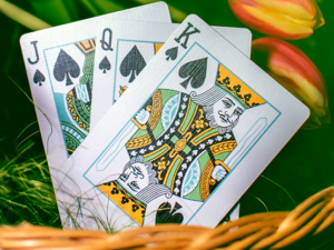Butterfly Seasons Playing Cards Marked (Spring) by Ondrej Psenicka