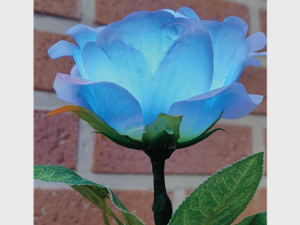 Remote Light Rose Multi-color (Charger Included) by JL Magic – Trick