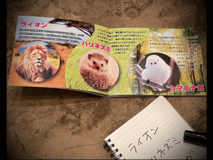 Mentalist’s Animal Photo book 2024 by Tenyo Magic – Trick