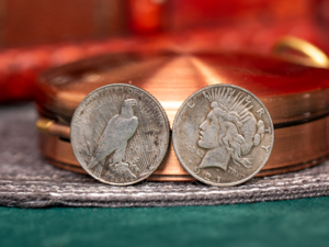 Mini Peace Dollar (Pack of 5 coins) by N2G