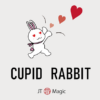 Cupid Rabbit by JT – Image 2