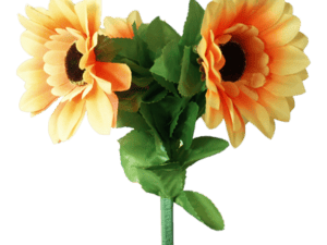 Amazing Split Sunflower by Premium Magic - Trick – article de magie | Abracadabreizh