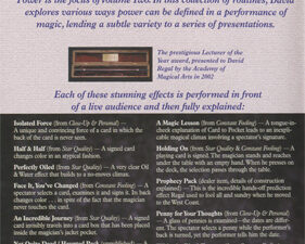 Premise Power & Participation Vol. 2 by David Regal and L & L Publishing – DVD