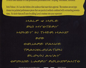 Scripted Insanity Volume 1 by Larry Davidson – DVD