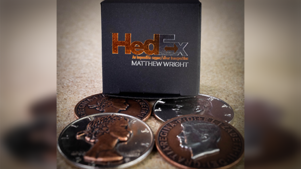 Hedex by Matthew Wright – Image 3