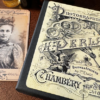 The Curious Case Of Amanda Cole by Dead Rebel Productions