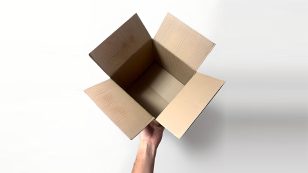 Examinable Box by Blake Vogt – Image 3