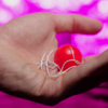OBEDIENT BALL (Gimmicks and Instructions) by Apprentice Magic  - Trick – Image 3