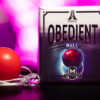 OBEDIENT BALL (Gimmicks and Instructions) by Apprentice Magic  - Trick
