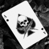 Feather & Bone: The Chrome Hearts (Foil) Playing Cards by Joel Meyers – Image 2