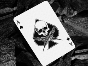 Feather & Bone: The Chrome Hearts (Foil) Playing Cards by Joel Meyers