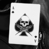 Feather & Bone: The White Cobra's (Limited Edition) Playing Cards by Joel Meyers – Image 2