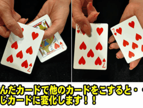 Wild Shock by Tejinaya – Trick (colors may vary)