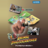 Animal photographer – Image 2