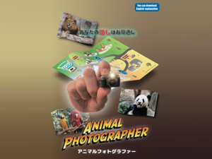 Animal photographer