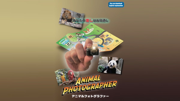 Animal photographer – Image 2