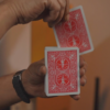 FreeWill (Red) by Manoj Kaushal – Image 4
