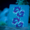 ONDA (Blue) Playing Cards by JOCU – Image 4