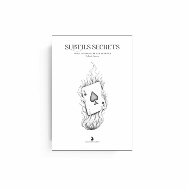 Subtils Secrets 1- Thibault Ternon