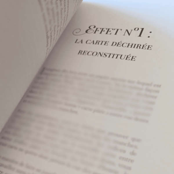 Subtils Secrets 1- Thibault Ternon – Image 2
