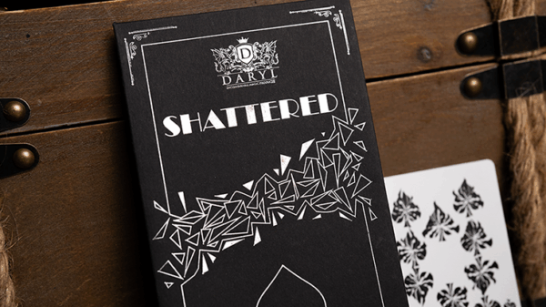 SHATTERED by DARYL – Image 4