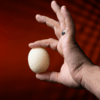 Magic Sponge Egg 4pk by Murphy's Magic – Image 2
