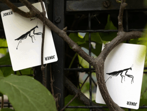 Mantis Playing Cards (Marked)