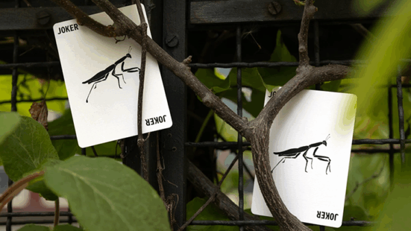 Mantis Playing Cards (Marked) – Image 2