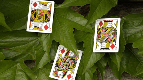 Mantis Playing Cards (Marked) – Image 6