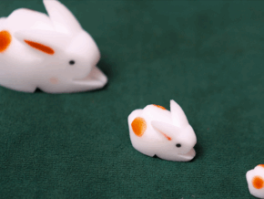 The Bunnies! 3D Rabbits (Parents, Kids & Grandpa)