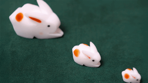 The Bunnies! 3D Rabbits (Parents, Kids & Grandpa) – Image 2