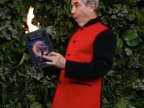 Royal Dove and Fire Book by Tora Magic