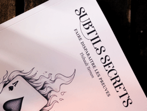 Subtle Secrets 1 by Thibault Ternon