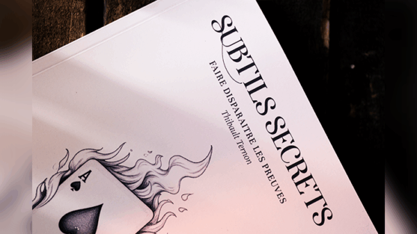 Subtle Secrets 1 by Thibault Ternon – Image 2