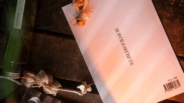 Subtle Secrets 1 by Thibault Ternon – Image 6