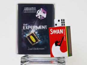 THE EXPERIMENT by Joel Dickinson