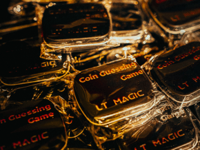 Coin Guessing Game by LT Magic