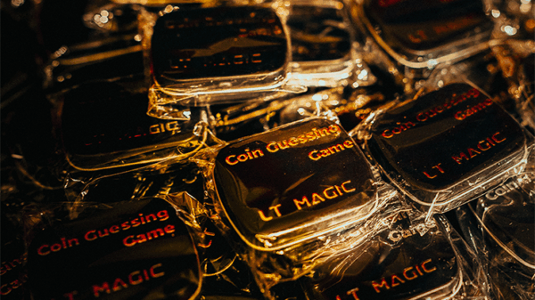 Coin Guessing Game by LT Magic – Image 2