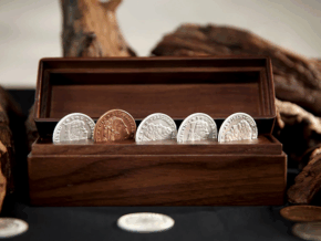 The Oddest Coin by David Penn & TCC Magic