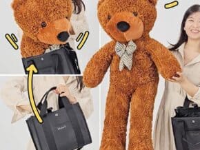 Appearing Teddy Bear Batteries incluses (3 Modèles) – article de magie | Abracadabreizh