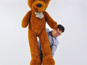 Appearing Teddy Bear Batteries incluses (3 Modèles)