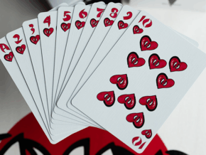 HOSOI HAMMERHEAD 40 YEARS PEARL FOIL PLAYING CARDS