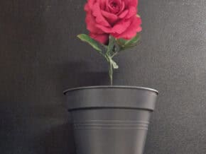 Jolie Fleur - Climax – article de magie | Abracadabreizh