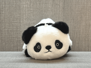 Morphing Plush (Panda to Raccoon) by Jackie Zhao and JT Magic