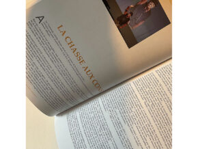 Jean Merlin : La plume et l »épée