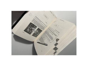 Mindon Mania l’Intégrale – Tome 2 sur 5