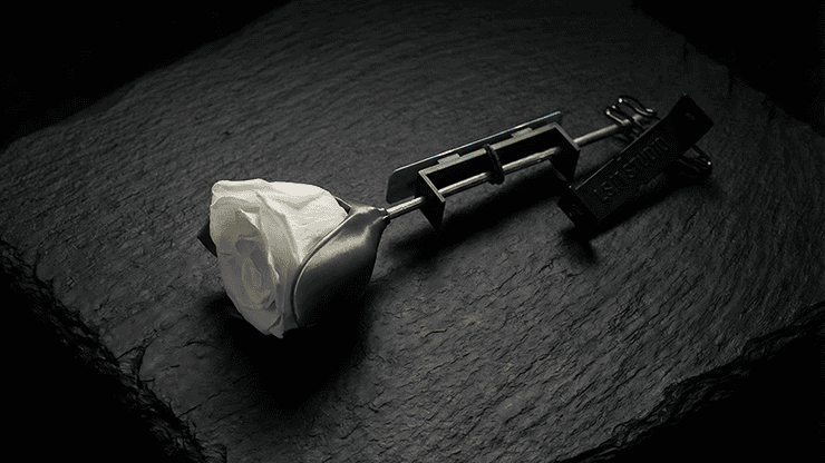 Project H: Rose Holder by J.S.M. Studio & Bacon Magic 3 Accessoire de magie : coffre à rose pour illusion.