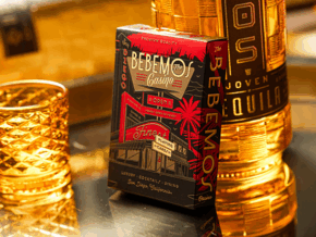 Bebemos Casino Playing Cards by theory11 – article de magie | Abracadabreizh